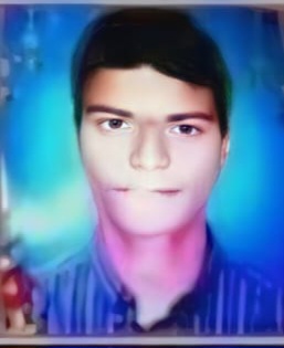 Telangana Amaraveerulu