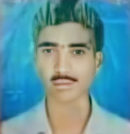 Telangana Amaraveerulu